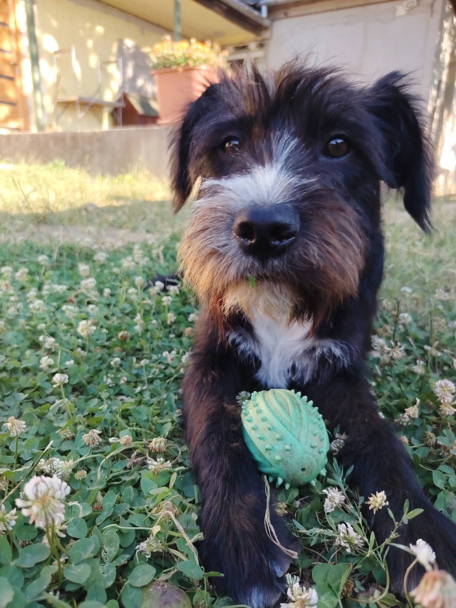 Zénó