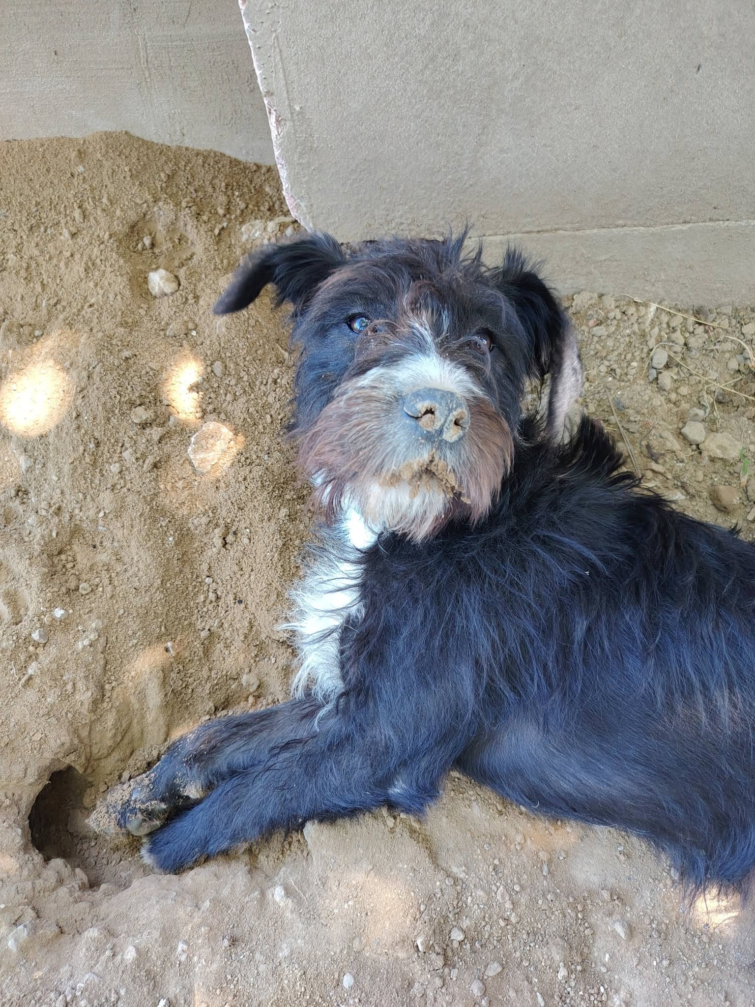 Zénó