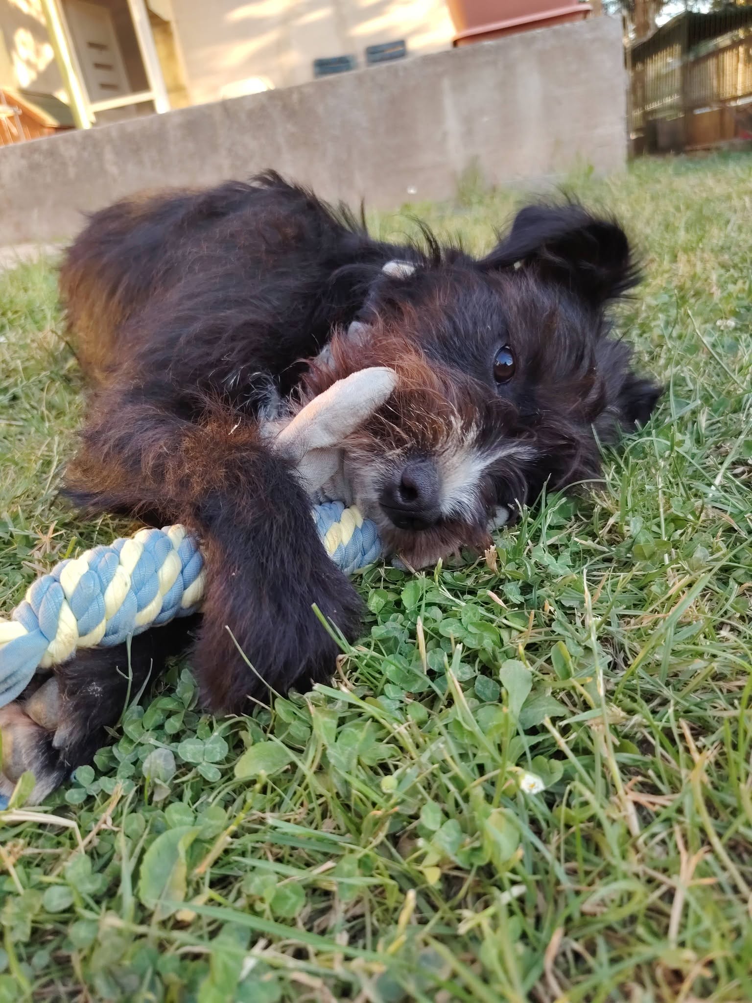 Zénó